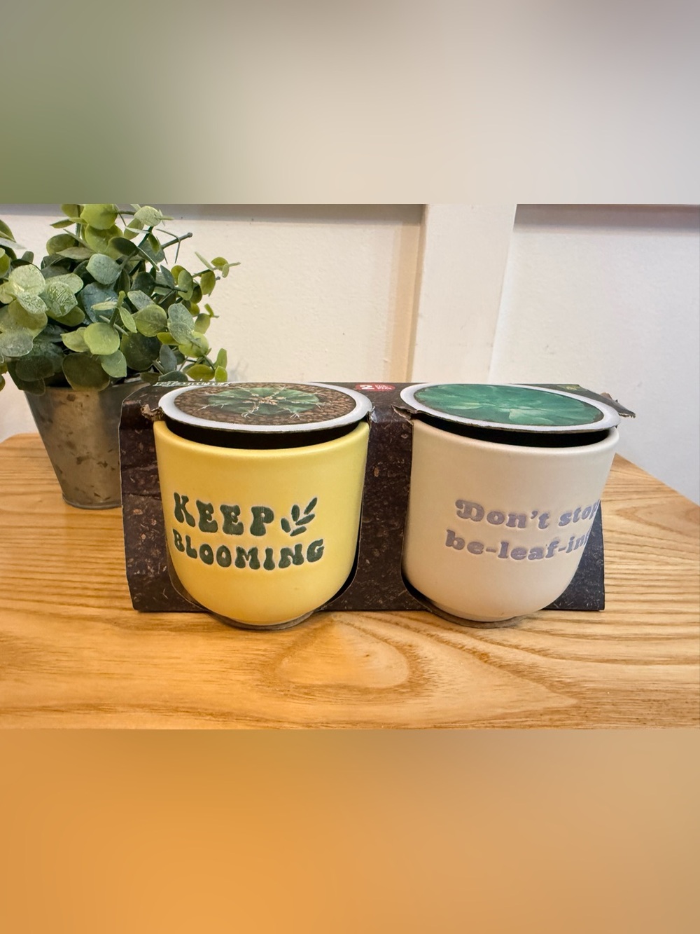 🌿10/$25 • Plant It Yellow & White Ceramic Planter Set